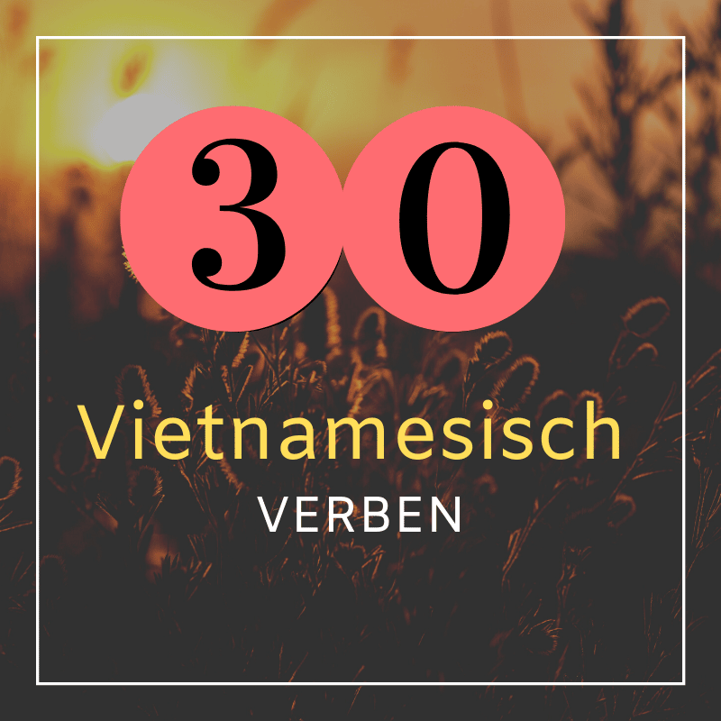 Vietnamesisch Lernen