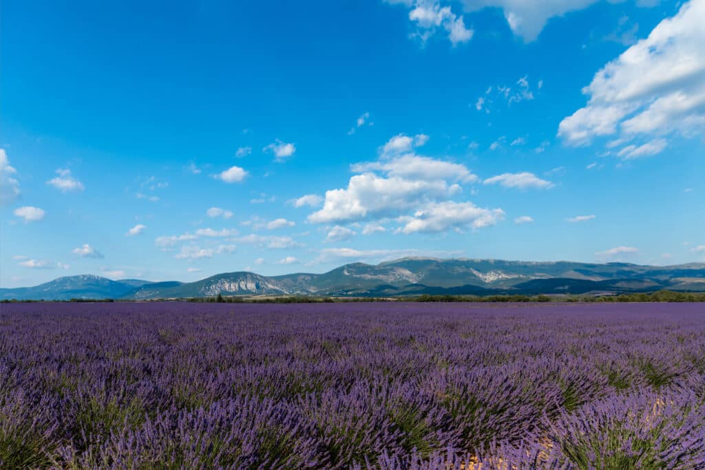 Provence Sehenswürdigkeiten