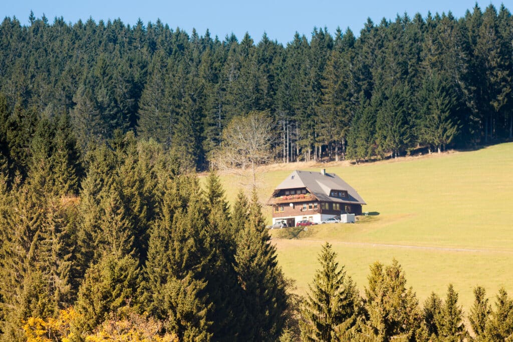 Schwarzwald Sehenswürdigkeiten